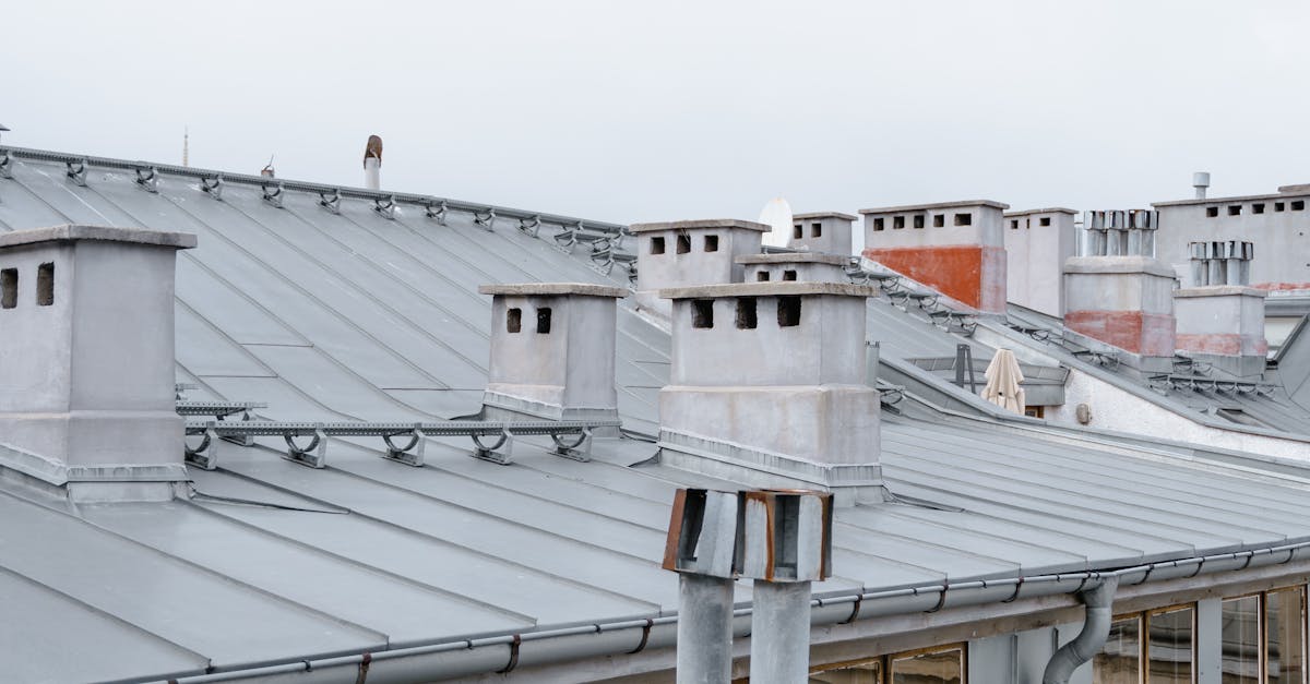What is the biggest problem roofers face?